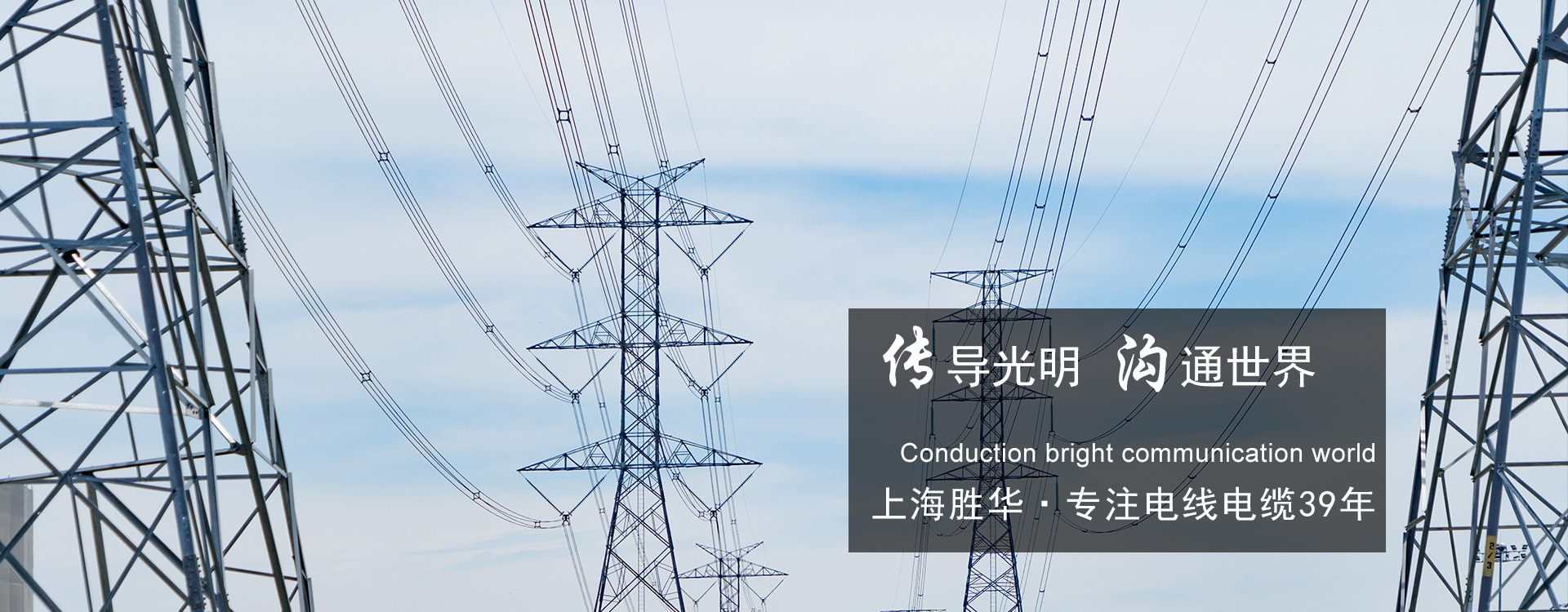 上海胜华电力（集团）有限公司